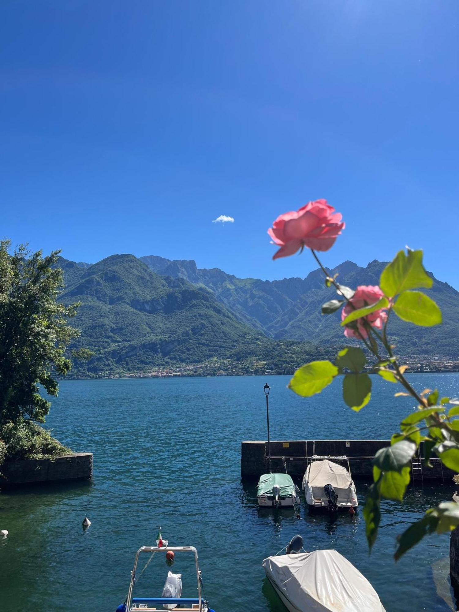 Domus Graziana - Lake Front Oliveto Lario Exterior photo